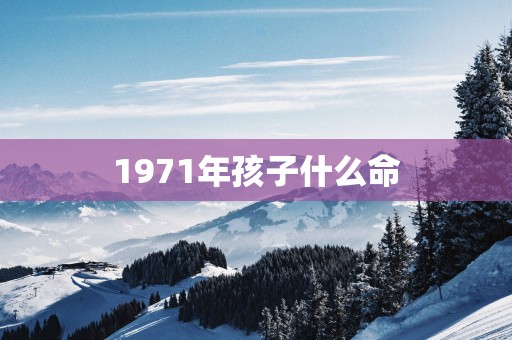 1971年孩子什么命