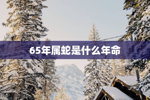 65年属蛇是什么年命