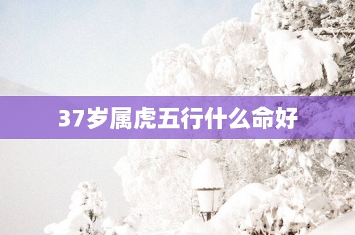 37岁属虎五行什么命好