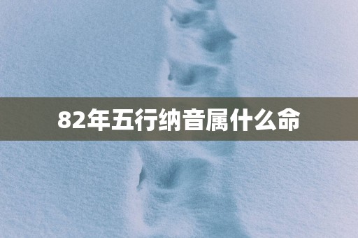 82年五行纳音属什么命