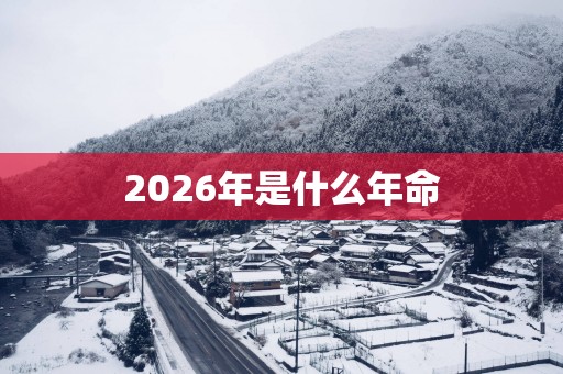 2026年是什么年命