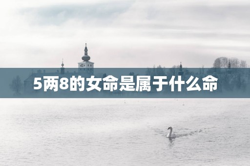 5两8的女命是属于什么命