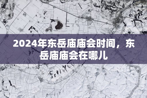 2025年东岳庙庙会时间，东岳庙庙会在哪儿