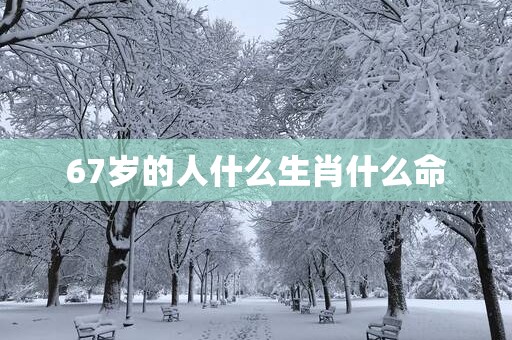 67岁的人什么生肖什么命