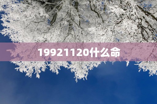 19921120什么命