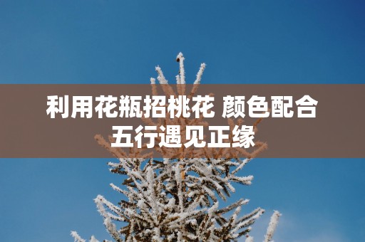 利用花瓶招桃花 颜色配合五行遇见正缘