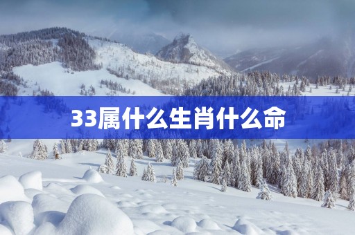 33属什么生肖什么命