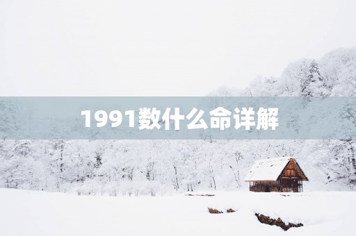 1991数什么命详解