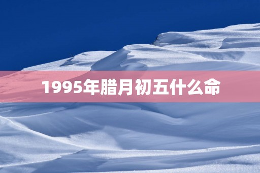 1995年腊月初五什么命