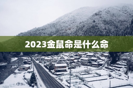 2025金鼠命是什么命