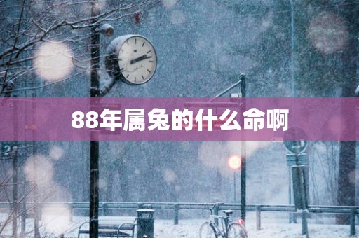 88年属兔的什么命啊