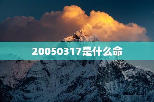 20050317是什么命