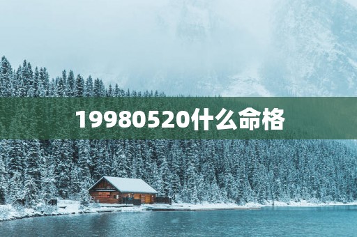 19980520什么命格