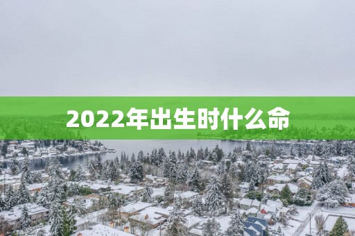 2025年出生时什么命