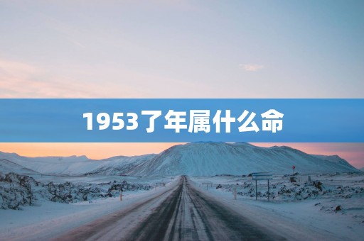 1953了年属什么命