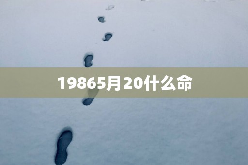 19865月20什么命