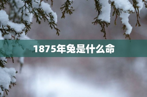 1875年兔是什么命