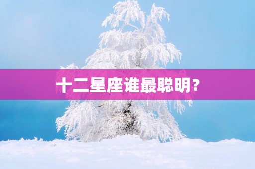 十二星座谁最聪明？
