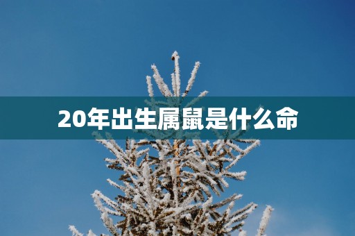 20年出生属鼠是什么命