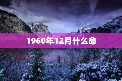 1960年12月什么命