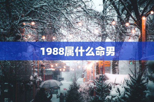 1988属什么命男