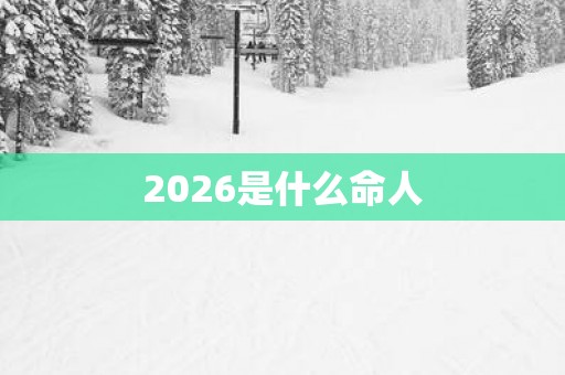 2026是什么命人
