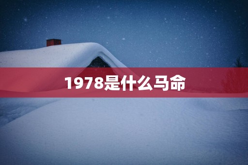 1978是什么马命