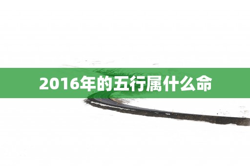 2016年的五行属什么命