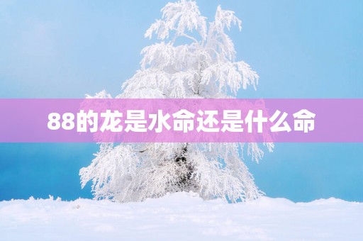88的龙是水命还是什么命