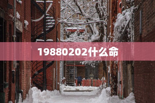 19880202什么命
