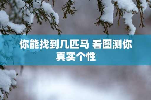 你能找到几匹马 看图测你真实个性