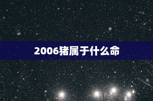 2006猪属于什么命
