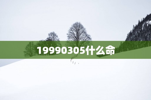 19990305什么命