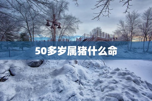 50多岁属猪什么命 50多岁属猪什么命