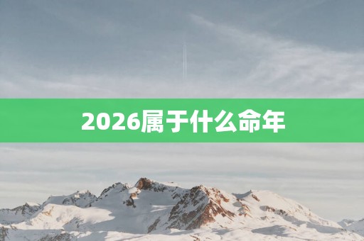 2026属于什么命年