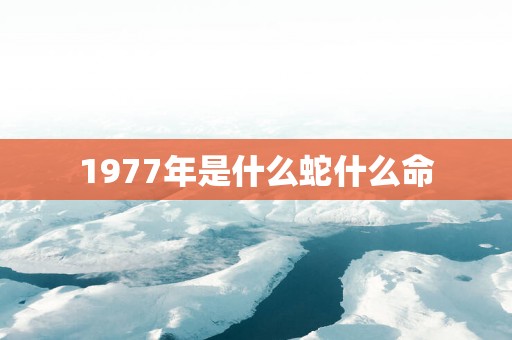 1977年是什么蛇什么命