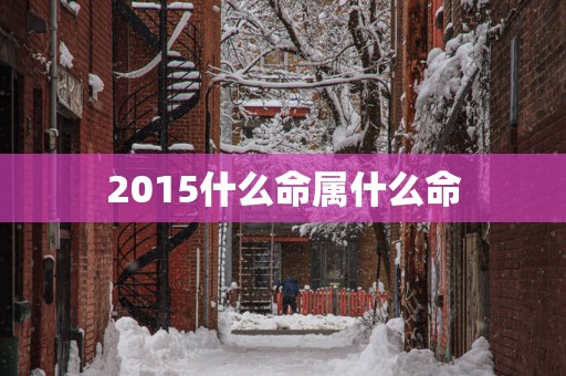 2015什么命属什么命