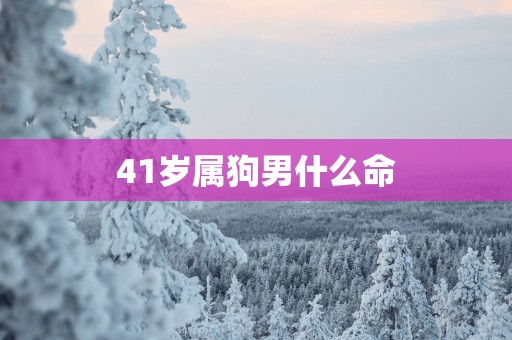 41岁属狗男什么命