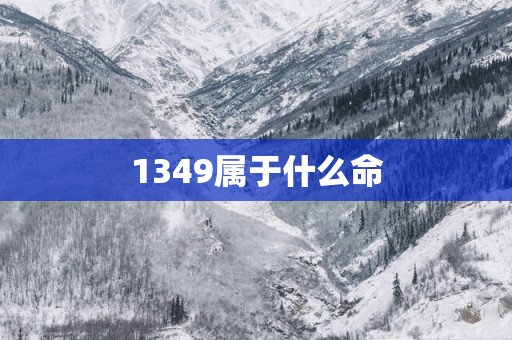 1349属于什么命