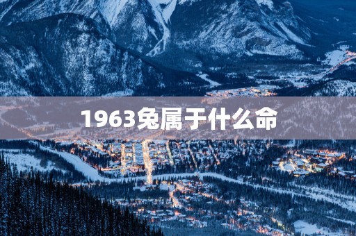1963兔属于什么命