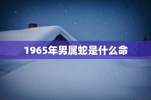 1965年男属蛇是什么命