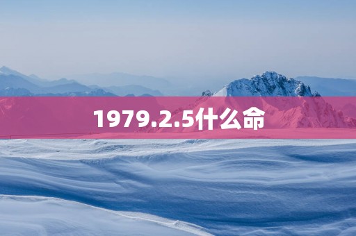 1979.2.5什么命