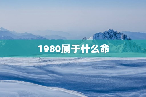 1980属于什么命