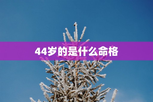 44岁的是什么命格