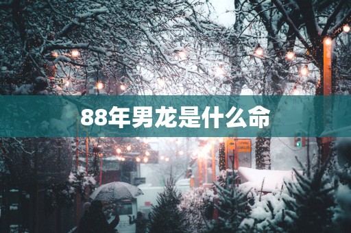 88年男龙是什么命