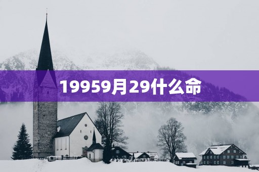 19959月29什么命