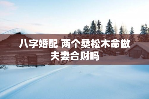 八字婚配 两个桑松木命做夫妻合财吗