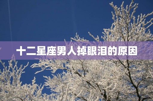 十二星座男人掉眼泪的原因