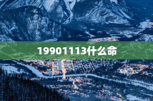 19901113什么命