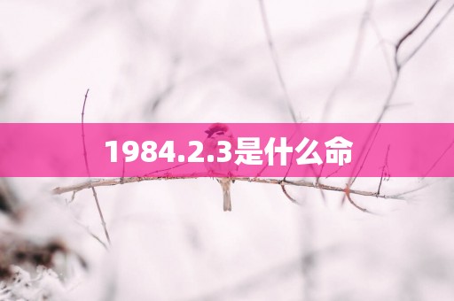 1984.2.3是什么命